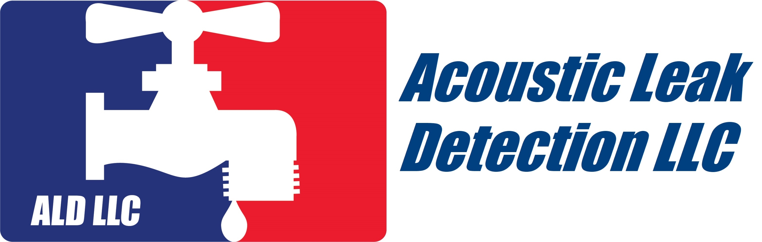 Acoustic Leak Detection